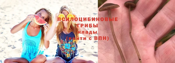 соль ск Заводоуковск