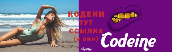 соль ск Заводоуковск