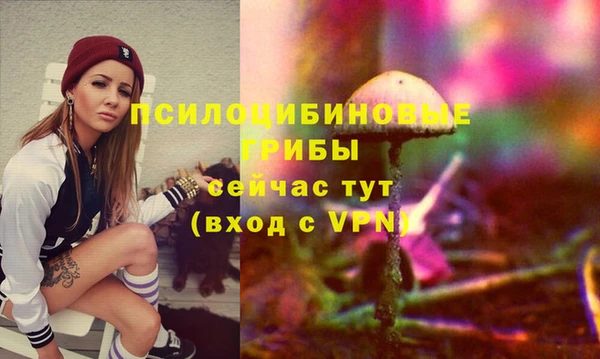 соль ск Заводоуковск