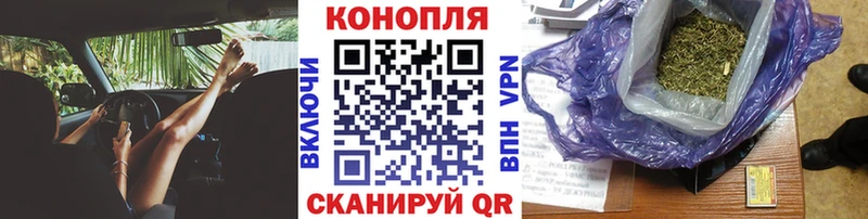 Купить закладки Нефтекумск Каннабис марихуана